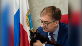 Саратовский министр привел кота на новое рабочее место