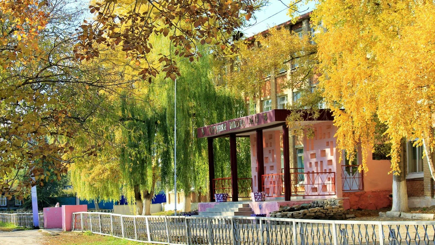 В школе Пугачева избили ученика: буллингом заинтересовались в прокуратуре и МВД