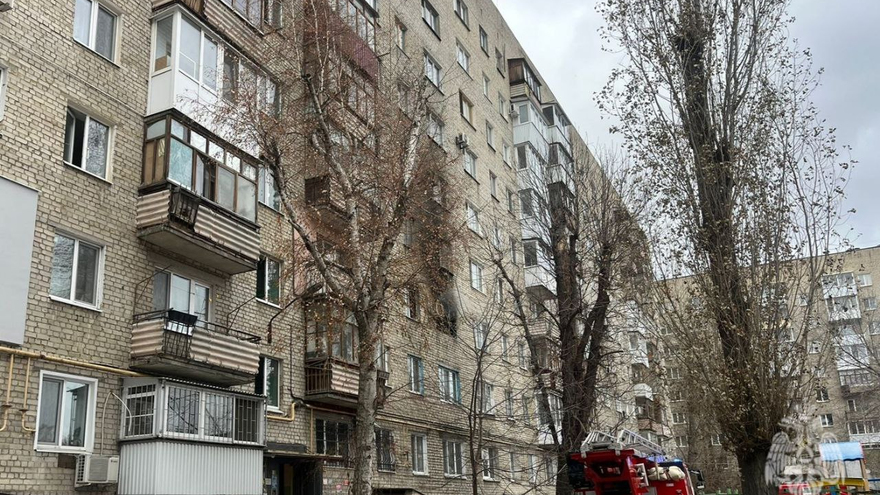 В Саратове из горящей девятиэтажки спасли 18 человек и кошку
