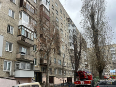 В Саратове из горящей девятиэтажки спасли 18 человек и кошку
