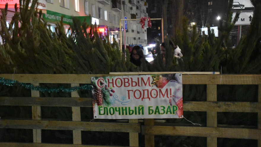В Саратове откроют 42 елочных базара: адреса