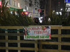 В Саратове откроют 42 елочных базара: адреса