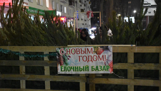В Саратове откроют 42 елочных базара: адреса