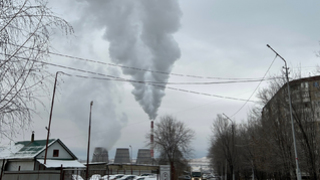 Погода в Саратовской области: сильный ветер и мокрый снег