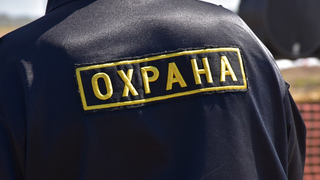 В Саратове за охрану двух скверов, набережной и Липок заплатят 1,7 млн