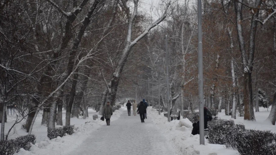 Погода в Саратовской области: тихая зимняя суббота