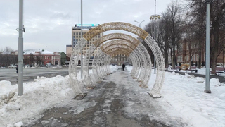 Погода в Саратовской области: плюсовая температура и морось 1 января