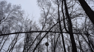 Погода в Саратовской области: плюсовая температура в первый день февраля