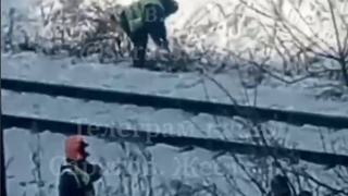 У железной дороги в Саратове зимой заметили рабочих с мотокосами: объяснение ПривЖД