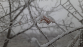 Саратовцам пообещали морозы до -22 градусов в первые дни весны
