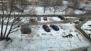Погода в Саратовской области: дождь и плюсовая температура