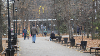 В Саратове закроют сад Липки