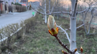Погода в Саратовской области: тепло на 1 апреля