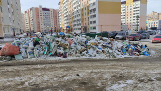 В Саратовской области не обустроены 8,5 тысяч мусорных контейнерных площадок