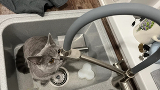 Саратовцев предупредили о масштабном отключении воды