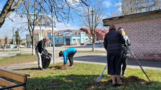 В Петровске вводят новые правила благоустройства