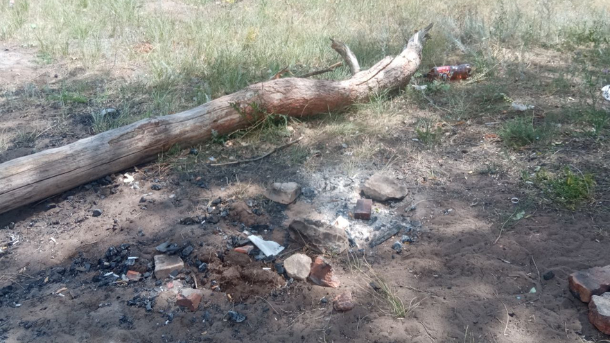 В Саратовской области двух человек оштрафовали на 40 тысяч за разведение костров в лесу