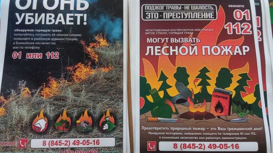 В Саратовской области двух человек оштрафовали на 40 тысяч за разведение костров в лесу