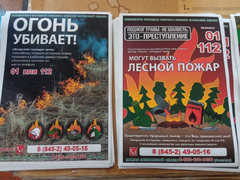 В Саратовской области двух человек оштрафовали на 40 тысяч за разведение костров в лесу