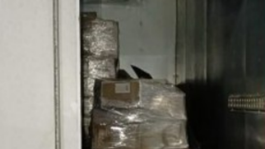 Из Саратовской области пытались незаконно вывезти партию мяса и морепродуктов