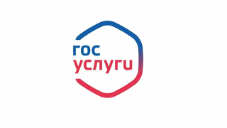 В России поменяли систему смены пароля на Госуслугах