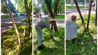 В Детском парке Саратова повредили несколько деревьев