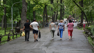 Предложено уничтожить более 200 деревьев в горпарке Саратова
