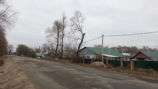 Никто не говорит, что нужно всех сажать: в думе посетовали на пассивность сельских чиновников в Саратовской области