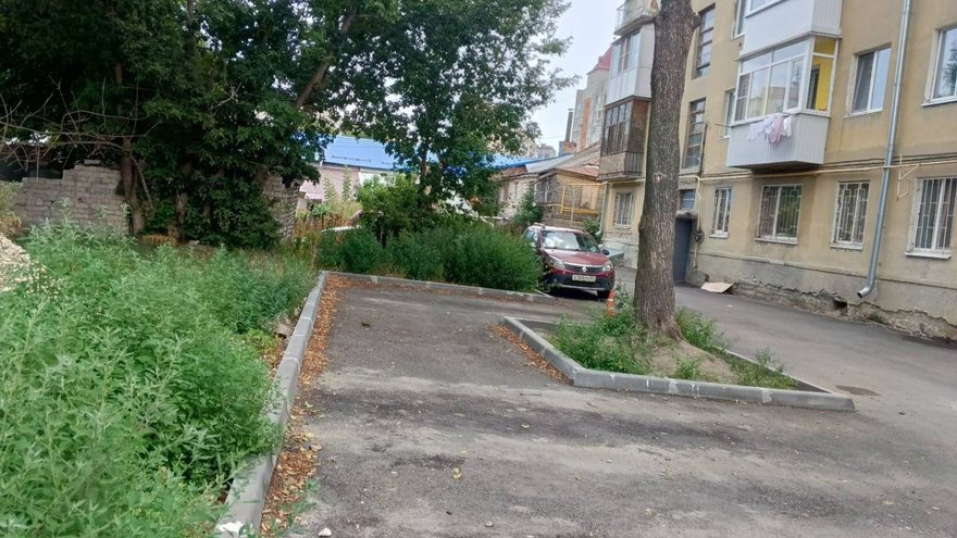 Мусор, пыль и грязь, заросли: в Саратове УК КЭСО уличили в некачественном обслуживании дома