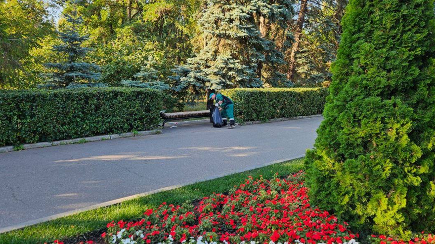 После гибели девочки из горпарка Саратова вывозят деревянные скульптуры