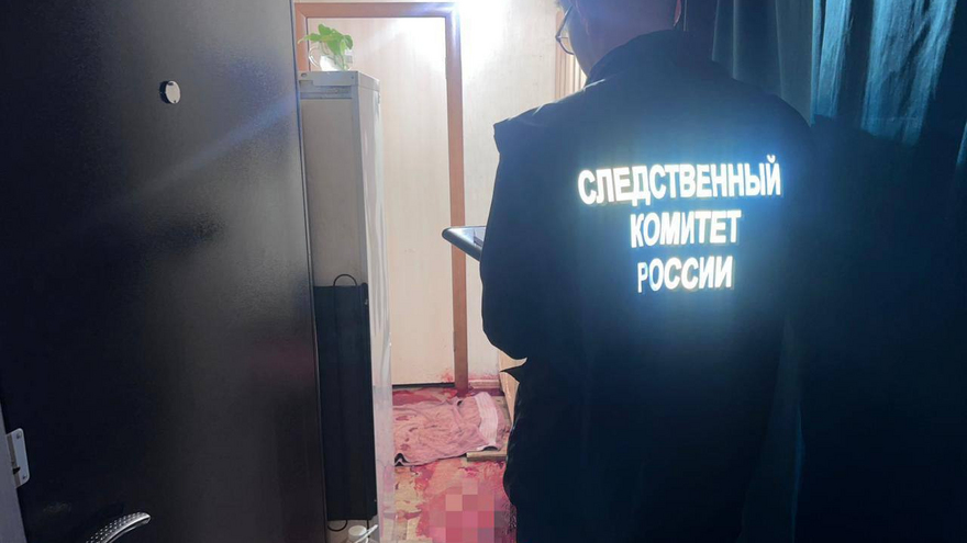 Всадила нож в шею и сбежала: жительница Саратова отсидит 8 лет за убийство сестры