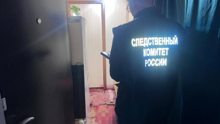 Всадила нож в шею и сбежала: жительница Саратова отсидит 8 лет за убийство сестры