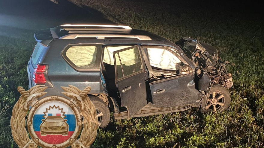 Под Саратовом водитель Гранты задавил мужчину и слетел с дороги