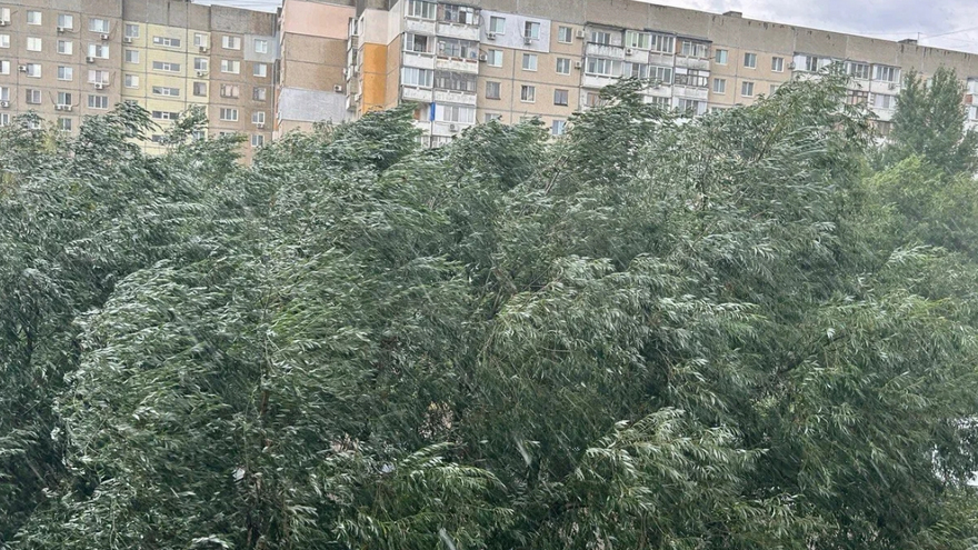 Погода в Саратовской области: жара и сильный дождь