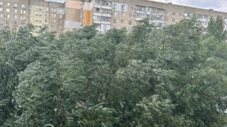 Погода в Саратовской области: жара и сильный дождь