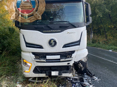 В Вольске женщина и ребенок пострадали в ДТП с грузовиком