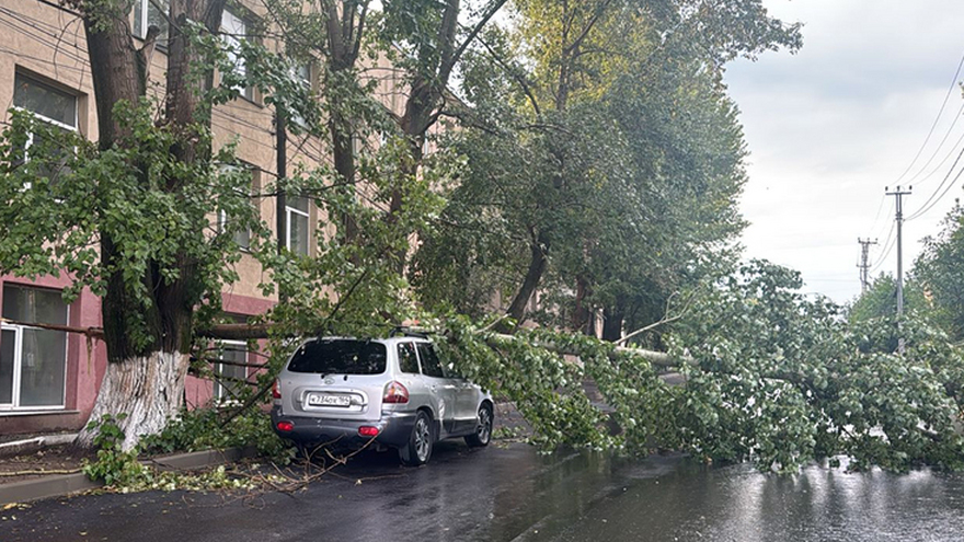 В Вольске ураган валил деревья и срывал крыши