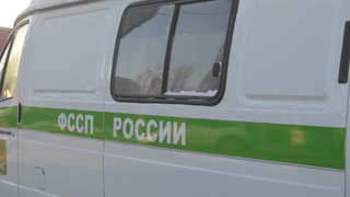 Нерадивую мать вынудили устроиться на ферму и заплатить детям почти полмиллиона
