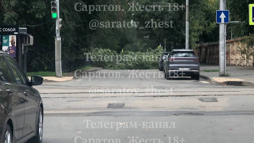 В Саратове ветка перекрыла участок оживленной улицы