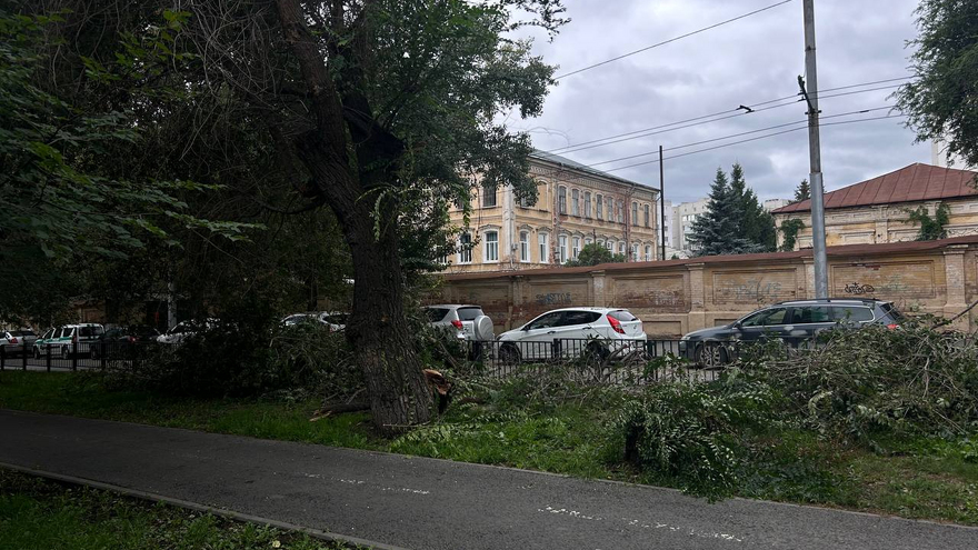 В Саратове ветка перекрыла участок оживленной улицы