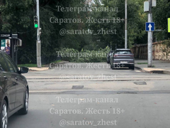 В Саратове ветка перекрыла участок оживленной улицы