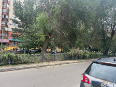 В Саратове ветка перекрыла участок оживленной улицы