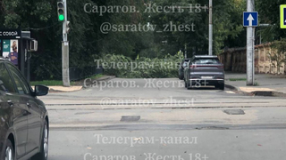 В Саратове ветка перекрыла участок оживленной улицы