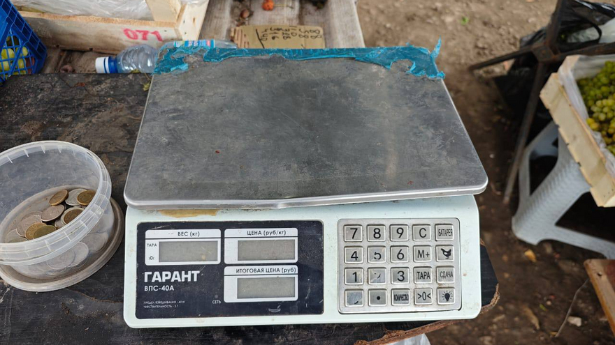 В Саратове незаконно продавали овощи, арбузы и дыни