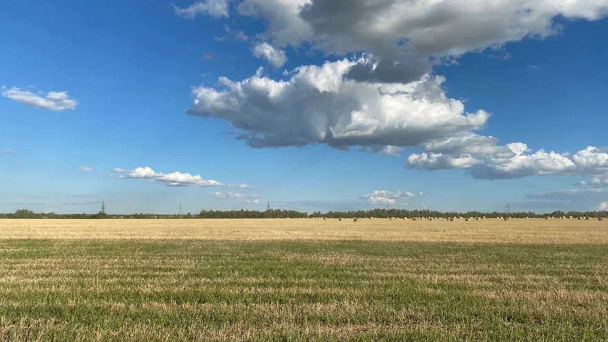 Погода в Саратовской области: тепло и сухо в понедельник