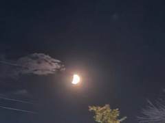 Саратовцы сфотографировали лунное затмение