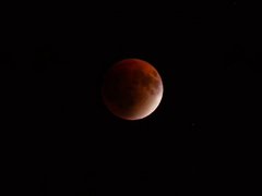 Саратовцы сфотографировали лунное затмение