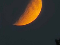Саратовцы сфотографировали лунное затмение