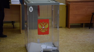 В Саратовской области начались дополнительные выборы