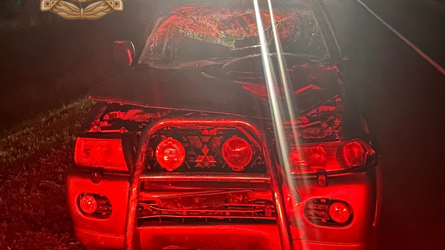 Под Энгельсом женщина на Mitsubishi сбила лошадь